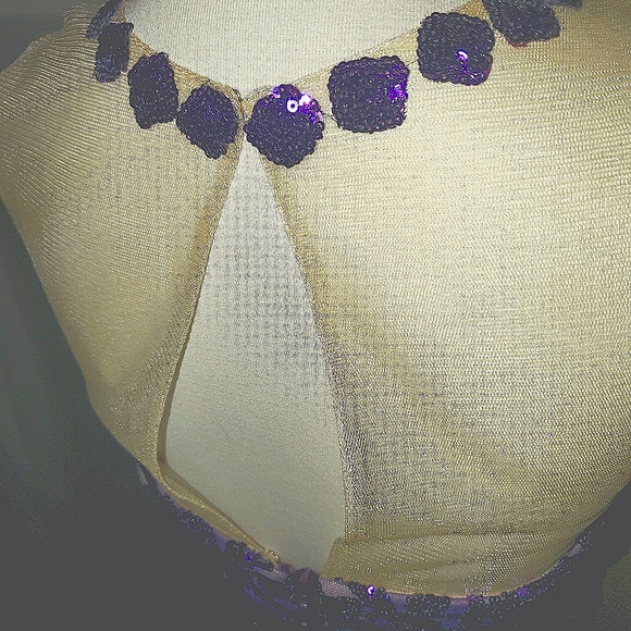 Gorgeous Purple Sequin, Floor-length, Designer Gown - Picture 4 of 9